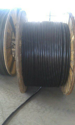 綠色安防線(xiàn)纜新標(biāo)桿 WDZYJV與WDZAYJY低煙無(wú)鹵電纜高清圖鑒解析