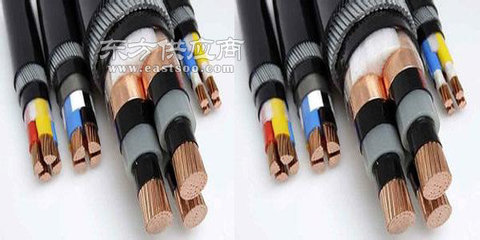 陽(yáng)谷電纜 品質(zhì)溯源與代理價(jià)值深度解析